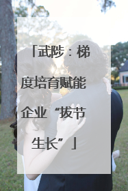 武陟：梯度培育赋能企业“拔节生长”
