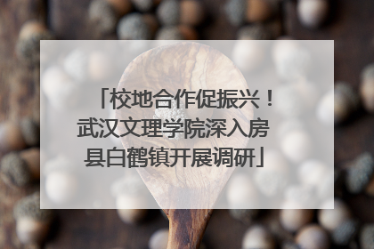 校地合作促振兴！武汉文理学院深入房县白鹤镇开展调研