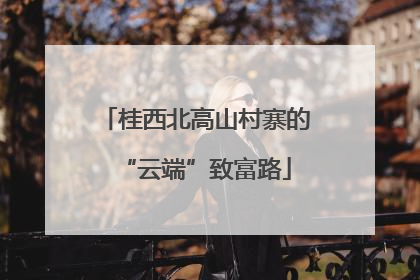 桂西北高山村寨的“云端”致富路