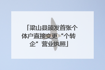 梁山县颁发首张个体户直接变更“个转企”营业执照