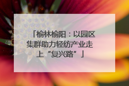 榆林榆阳：以园区集群助力轻纺产业走上“复兴路”