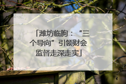 潍坊临朐：“三个导向”引领财会监督走深走实