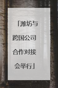 潍坊与跨国公司合作对接会举行
