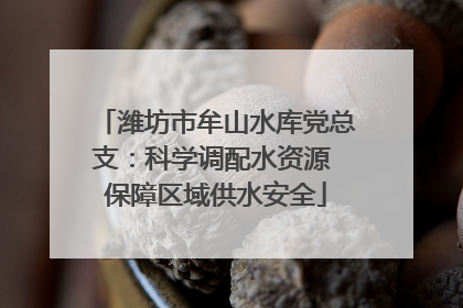 潍坊市牟山水库党总支：科学调配水资源 保障区域供水安全