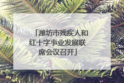 潍坊市残疾人和红十字事业发展联席会议召开