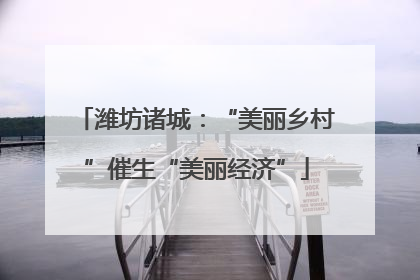潍坊诸城：“美丽乡村”催生“美丽经济”
