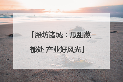 潍坊诸城：瓜甜葱郁处 产业好风光