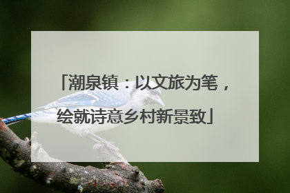 潮泉镇：以文旅为笔，绘就诗意乡村新景致