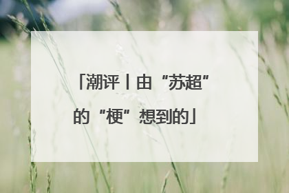 潮评丨由“苏超”的“梗”想到的