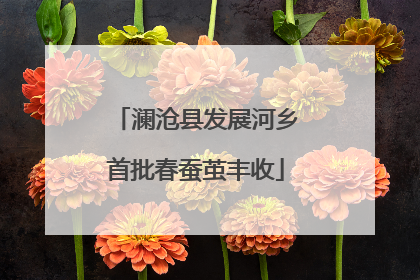 澜沧县发展河乡首批春蚕茧丰收