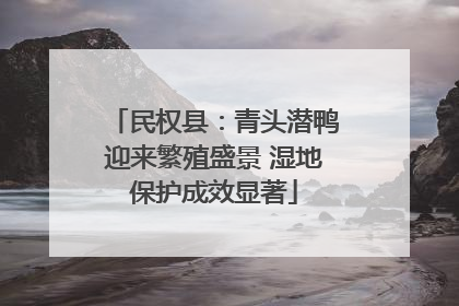 民权县：青头潜鸭迎来繁殖盛景 湿地保护成效显著