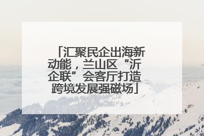 汇聚民企出海新动能，兰山区“沂企联”会客厅打造跨境发展强磁场