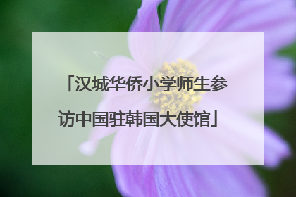 汉城华侨小学师生参访中国驻韩国大使馆