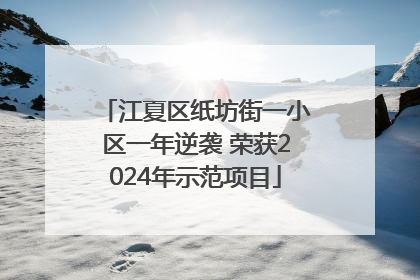 江夏区纸坊街一小区一年逆袭 荣获2024年示范项目