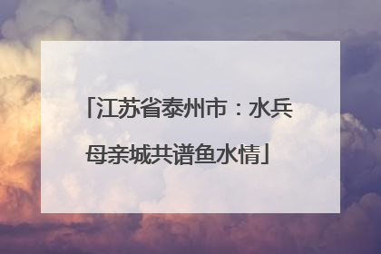 江苏省泰州市：水兵母亲城共谱鱼水情