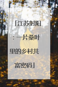 江苏射阳：一片桑叶里的乡村共富密码