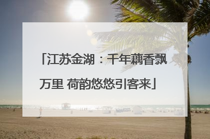 江苏金湖：千年藕香飘万里 荷韵悠悠引客来