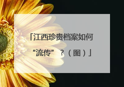 江西珍贵档案如何“流传”？（图）