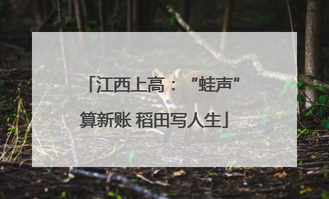 江西上高：“蛙声”算新账 稻田写人生