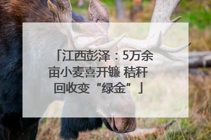 江西彭泽：5万余亩小麦喜开镰 秸秆回收变“绿金”