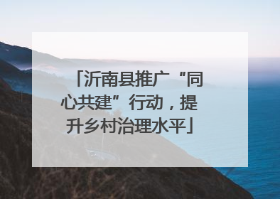 沂南县推广“同心共建”行动，提升乡村治理水平