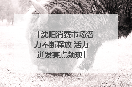沈阳消费市场潜力不断释放 活力迸发亮点频现
