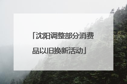 沈阳调整部分消费品以旧换新活动