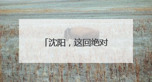 沈阳，这回绝对藏不住了！今晚8点惊艳揭幕！