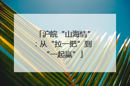 沪皖“山海情”：从“拉一把”到“一起赢”