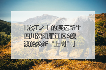 沱江之上的渡运新生 四川资阳雁江区6艘渡船焕新“上岗”