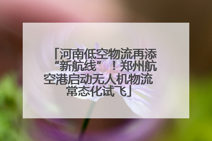 河南低空物流再添“新航线”！郑州航空港启动无人机物流常态化试飞