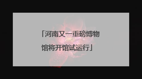 河南又一重磅博物馆将开馆试运行