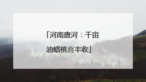 河南唐河：千亩油蟠桃喜丰收