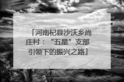 河南杞县沙沃乡尚庄村：“五星”支部引领下的振兴之路