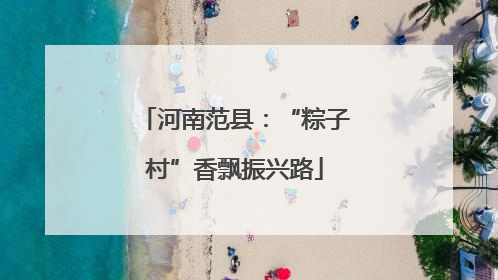 河南范县：“粽子村”香飘振兴路