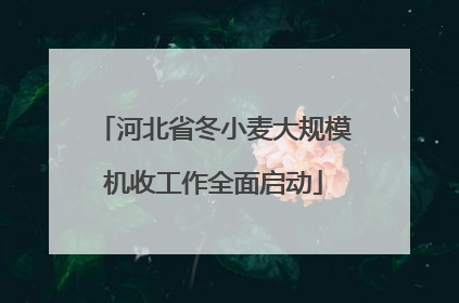 河北省冬小麦大规模机收工作全面启动