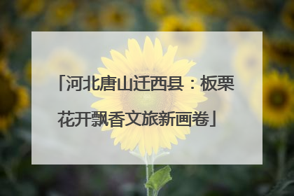 河北唐山迁西县：板栗花开飘香文旅新画卷