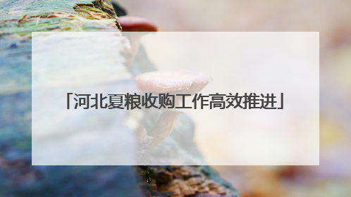 河北夏粮收购工作高效推进