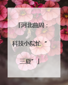 河北曲周：科技小院忙“三夏”
