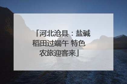 河北沧县：盐碱稻田过端午 特色农旅迎客来