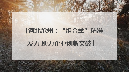 河北沧州：“组合拳”精准发力 助力企业创新突破