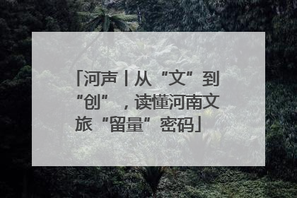 河声丨从“文”到“创”，读懂河南文旅“留量”密码