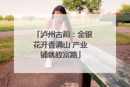 泸州古蔺：金银花开香满山 产业铺就致富路