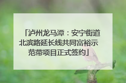 泸州龙马潭：安宁街道北滨路延长线共同富裕示范带项目正式签约