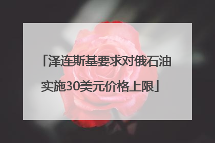 泽连斯基要求对俄石油实施30美元价格上限