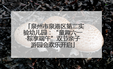 泉州市泉港区第二实验幼儿园：“童趣六一·粽享端午”双节亲子游园会欢乐开启