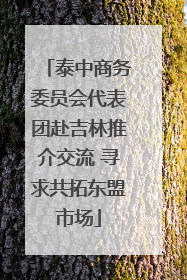 泰中商务委员会代表团赴吉林推介交流 寻求共拓东盟市场