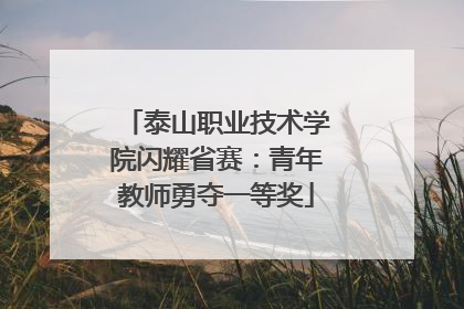 泰山职业技术学院闪耀省赛：青年教师勇夺一等奖