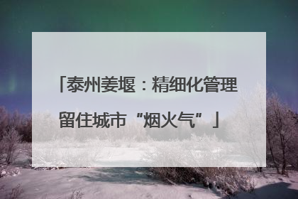 泰州姜堰：精细化管理留住城市“烟火气”