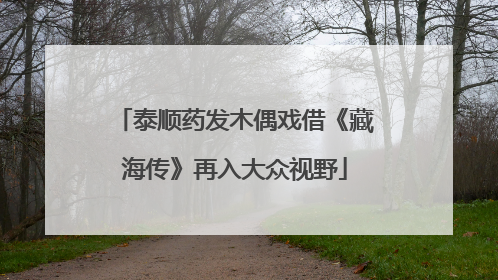 泰顺药发木偶戏借《藏海传》再入大众视野